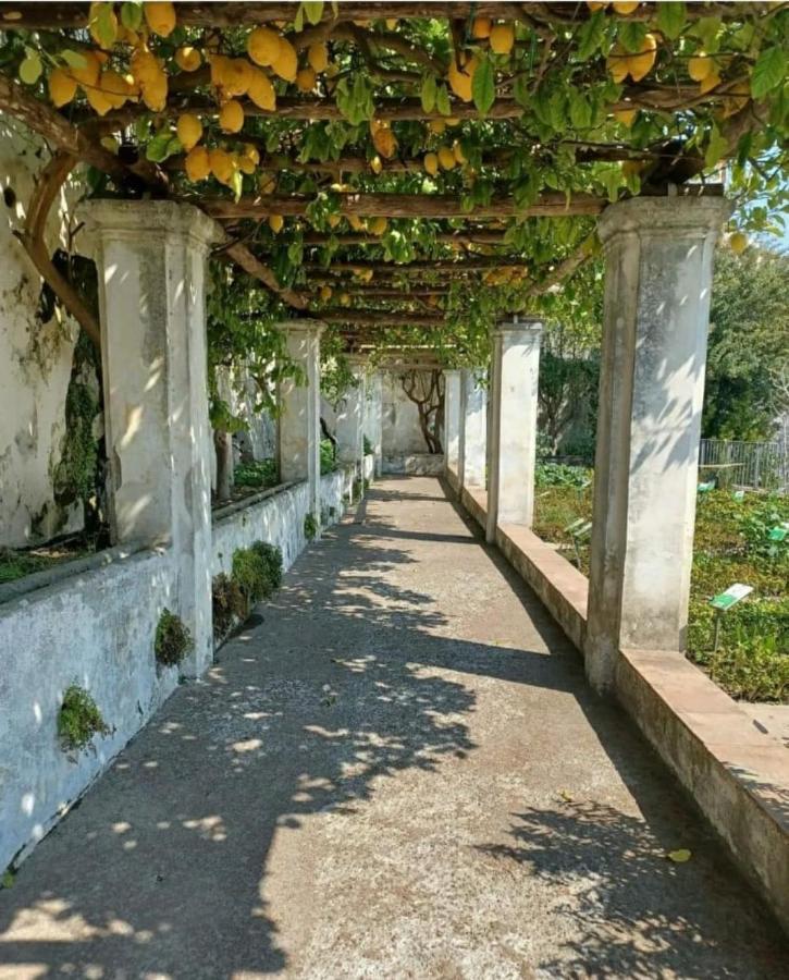 Apartament Salifornia Casa Vacanze Salerno Zewnętrze zdjęcie